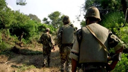 Deux fusils de chasse saisis à Batna (MDN)