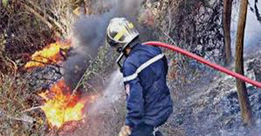 Tipasa Campagne contre les risques d’incendies de forêt et de noyades