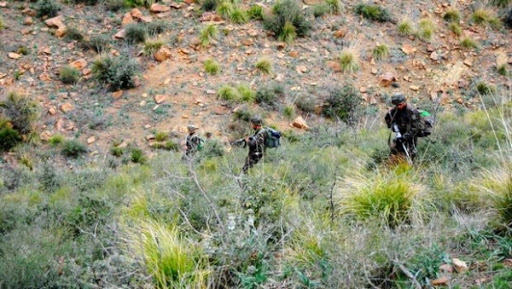 Trois abris pour terroristes et une mine artisanale détruits à Tizi-Ouzou et Chlef (MDN)