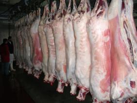 Viandes rouges : Un dispositif pour développer la production et réduire les importations