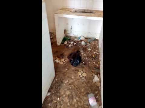 Vidéo: Amar Adjili, l&rsquo;homme qui nettoie les plages de Tipasa, agressé par des vigiles du complexe de Matarès