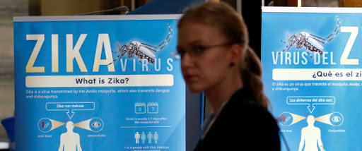 Zika: 150 experts demandent le report ou le déplacement des jeux Olympiques de Rio