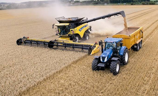A Bejaia le manque de pluie inquiète les céréaliculteurs