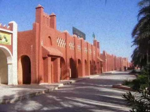 Adrar: les récents cas de paludisme constituent un cas isolé, appellent à des mesures préventives