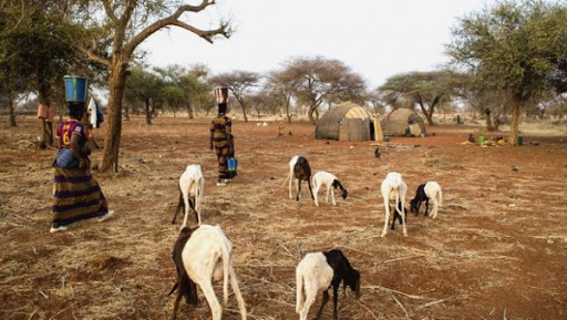 Afrique: des avancées en matière de gestion durable des terres