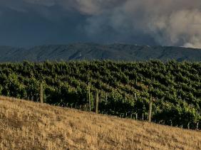 Agriculture: la mise en œuvre du PDR a permis de réaliser d’importants projets