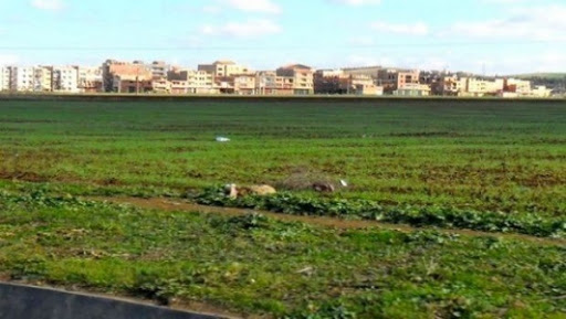 Assainissement du foncier industriel : 168 mises en demeure adressées à Ouargla