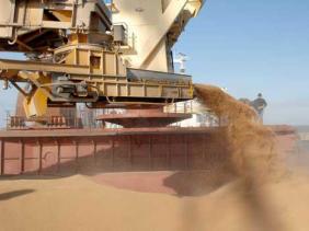 Céréales: La facture des importations en baisse de 28%