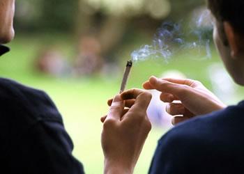 Comme chaque année, la consommation de «kif» explose pendant le mois sacré :Un joint pour trouver la « spiritualité »