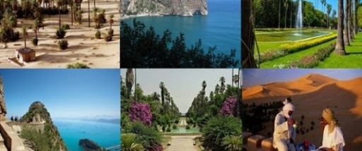 Des mesures incitatives pour promouvoir la destination Algérie à l’échelle internationale