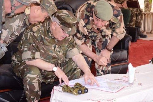 Exercice tactique de l’ANP à Illizi (vidéo)