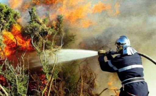 Feux de forêts: plus 12.300 éléments de la Protection civile mobilisés à partir du 1er juillet