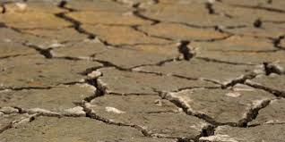 Ils revendiquent le rééchelonnement de leurs dettes: La sécheresse fait sortir les fellahs