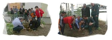 Jijel : 5 millions DA pour la réhabilitation du jardin botanique municipal