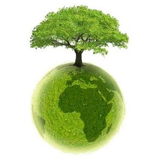 Journée mondiale de l’environnement: Des défis énormes attendent l’Algérie