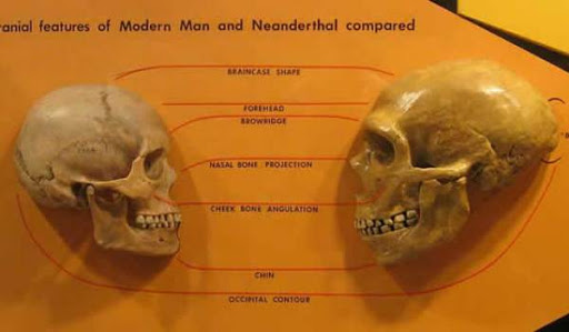 « Kabyles » contre « Arabes » dites-vous ?!