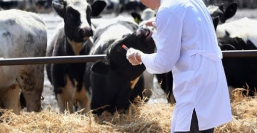 La grève des vétérinaires du secteur public suspendue