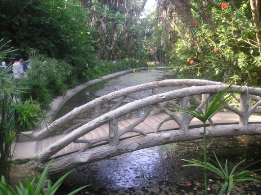 Le jardin d’essai d’Alger, un lieu magique