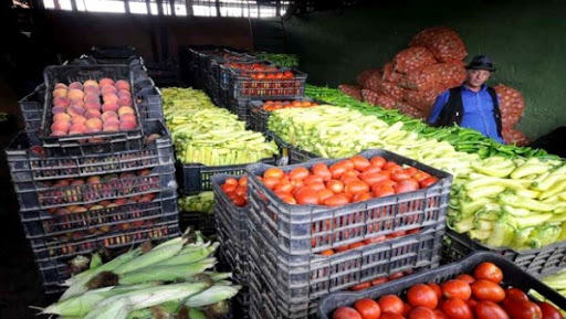 Le marché de gros des fruits et légumes d’El Kerma: un pôle à vocation régionale
