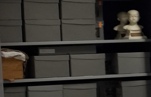 Le Musée de l’Homme de Paris se dit « prêt » à restituer les 36 crânes de chouhada de la résistance algérienne