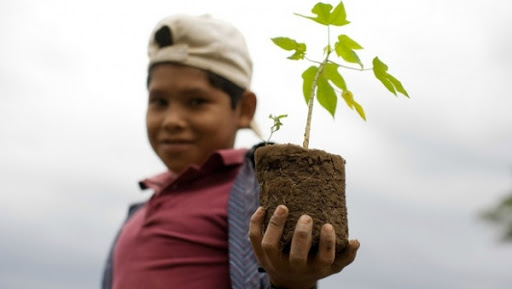 L’ONU appelle à mener d’un même front le maintien de la paix et le développement durable