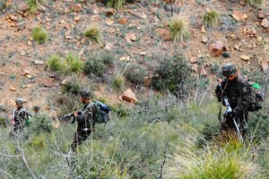 Médéa : Découverte d’une cache d’armes et de munitions