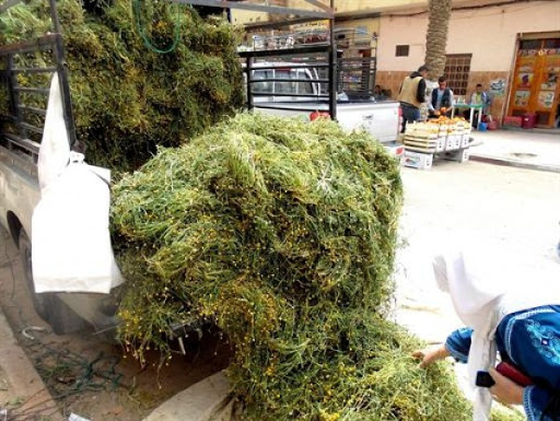 Mets traditionnels: la « Guertoufa » fait recette à Ghardaïa