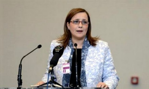 Mme Meslem souligne la « constance » de la position algérienne pour le Niger