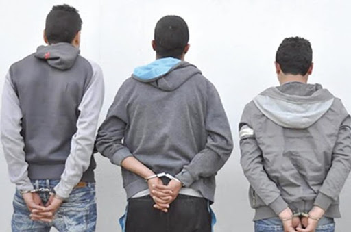 Mostaganem: Arrestation de cambrioleurs à Safsaf…