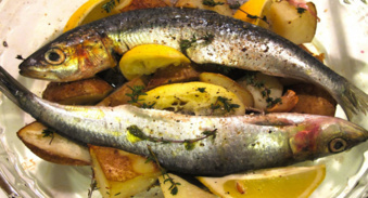 Mostaganem: La sardine : le ‘’poisson du pauvre’’ inaccessible au démuni !