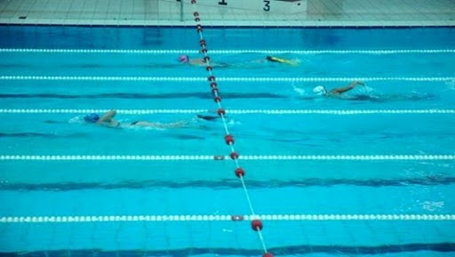 Natation/meeting : trois Algériennes au rendez-vous de Vichy (France)