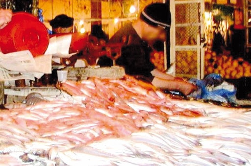 Près de 40 participants étaient présents : Jijel célèbre la fête du poisson