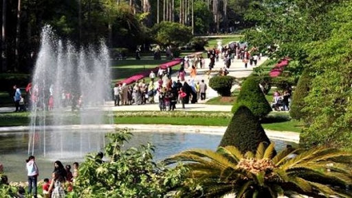 Propreté de l’environnement à Alger: les décharges anarchiques cèdent la place aux espaces verts