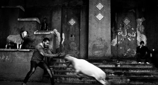 Regards sur l’Algérie au musée Paul Dupuy