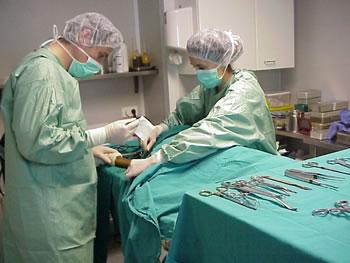 Séminaire à Bouira sur la responsabilité médicale: Blouses blanches et robes noires débattent