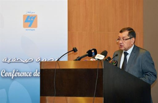 Sonelgaz en négociations pour contracter des crédits à l’international