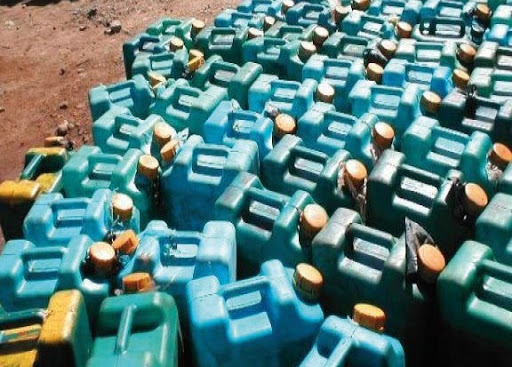 TÉBESSA: 1400 litres de carburants et 350 chardonnerets saisis par la douane