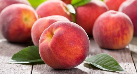 Tébessa : une tentative d’introduction sur le sol algérien de 18 tonnes de pêche déjouée