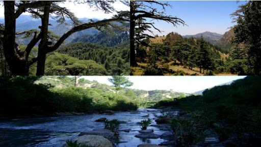 Tourisme: nécessité de développer le secteur en vue d’en faire un substitut aux hydrocarbures