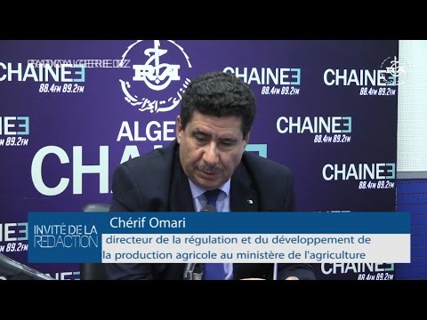 Un cadre au ministère de l’Agriculture l’affirme : l’Algérie mettra un terme à ses importations de blé dur à partir de 2019