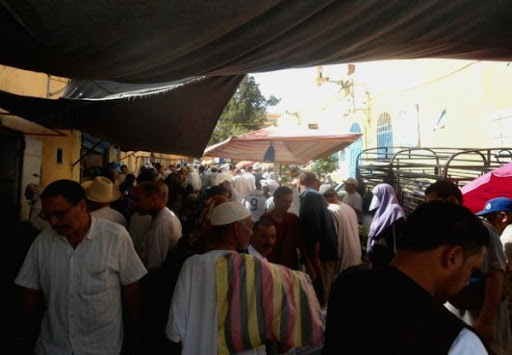 Veillées de Ramadhan à Laghouat : parcs et esplanades, des destinations de choix