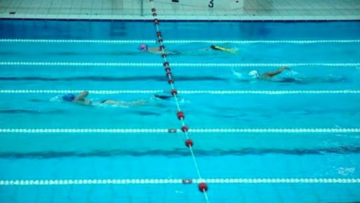 Aïn Defla: organisation de portes ouvertes sur la natation