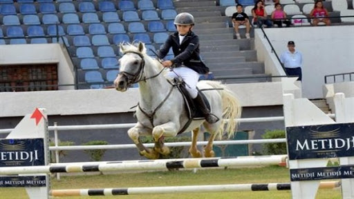 Championnat national de saut d’obstacles : coup d’envoi de la compétition à Alger