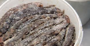 Collo: Les anchois à 100 DA le kg