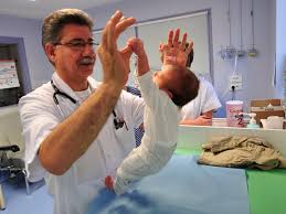 Construction prochaine d’un hôpital pédiatrique à Bir Khadem (Alger)