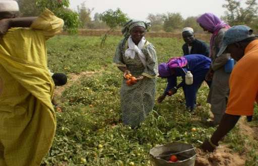 Croissance inédite en Afrique mais la pauvreté persiste