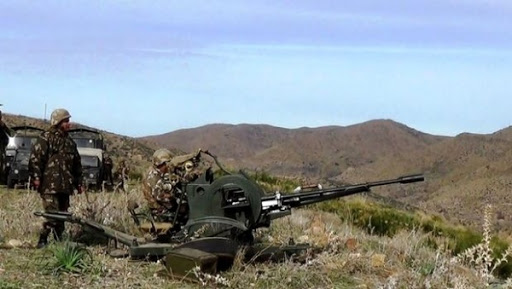 Destruction à Tizi Ouzou et Béjaïa de 24 abris servant de refuges pour terroristes (MDN)