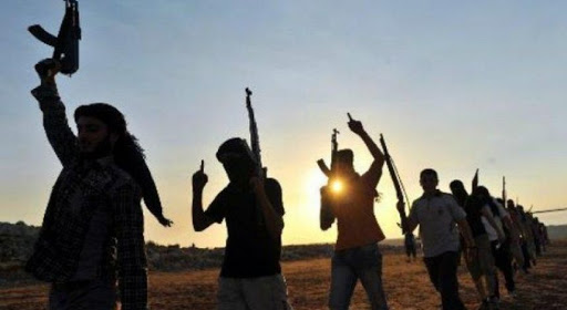 Environ 30.000 « terroristes étrangers » en Irak et Syrie