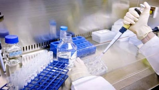 Identification d’anticorps efficaces contre le Zika