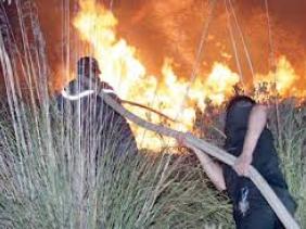 Incendies de superficies boisées : entre gestes inconscients et actes prémédités